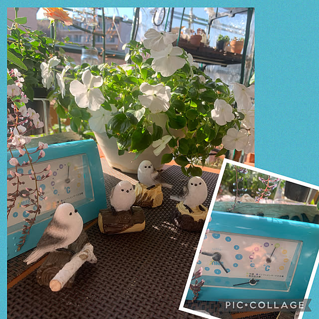 Aqettyさんの部屋
