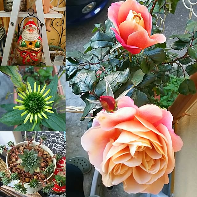 catriene0123さんの実例写真