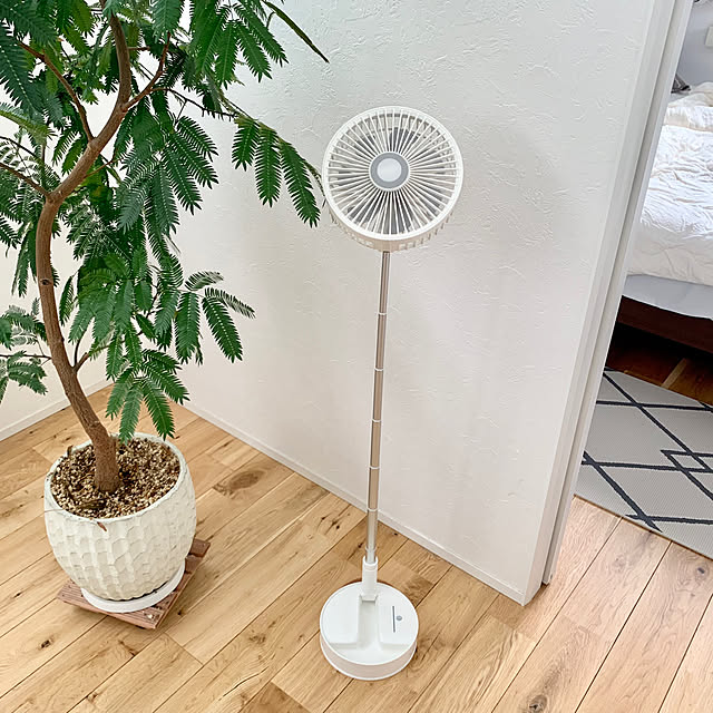 Minteaさんの部屋