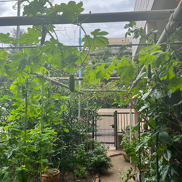 botanさんの実例写真
