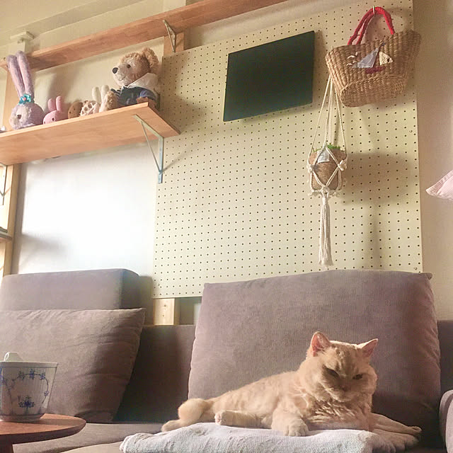 naokoさんの部屋