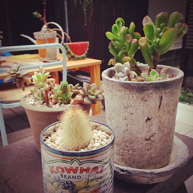 minomonさんの実例写真