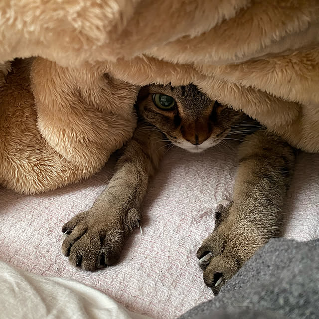 naturalさんの実例写真