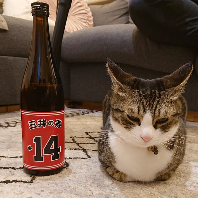 mochicoさんの実例写真