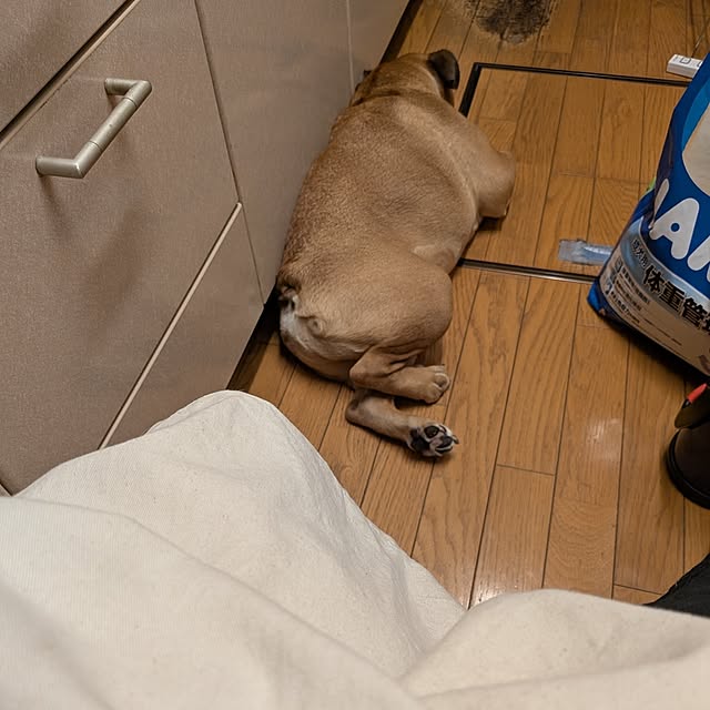 chi_gogaさんの部屋