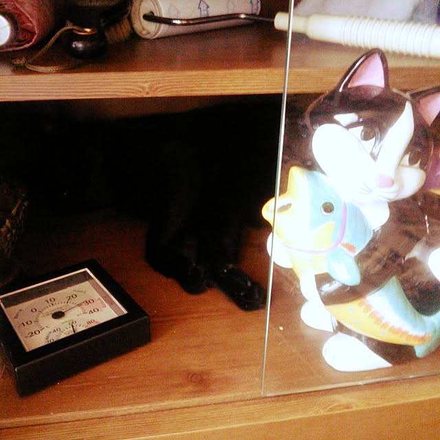 Tomopさんの部屋