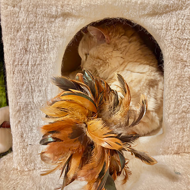 naokoさんの部屋