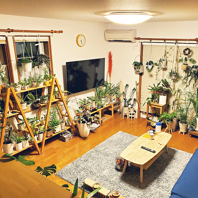 hiroさんの実例写真