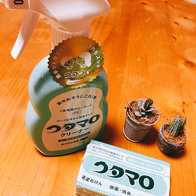 Ayanoさんの実例写真