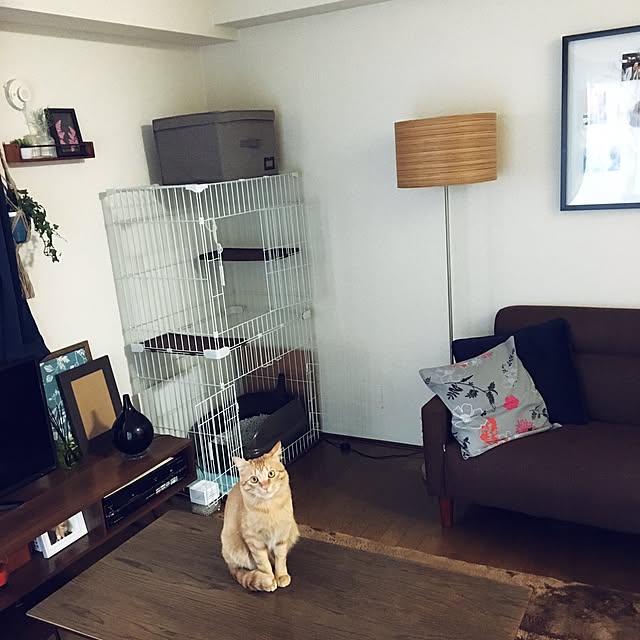 anzyさんの実例写真