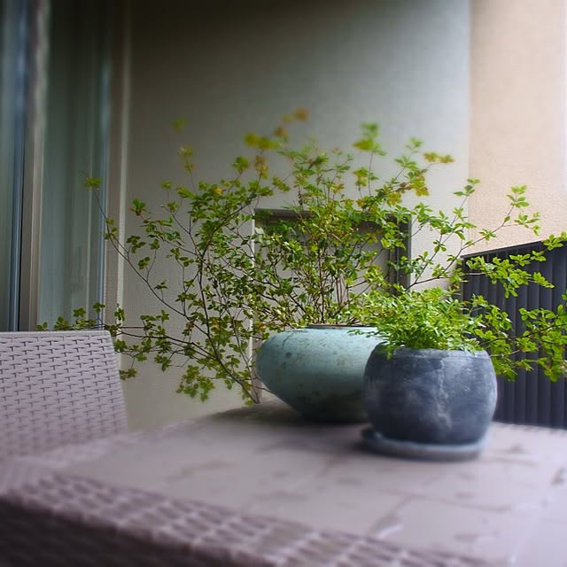 greenlife_fさんの実例写真