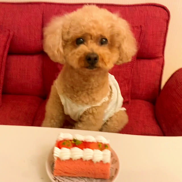HappyRoseさんの部屋