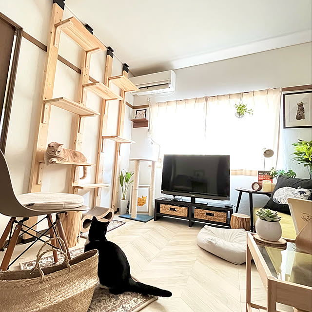 kiyomiさんの実例写真