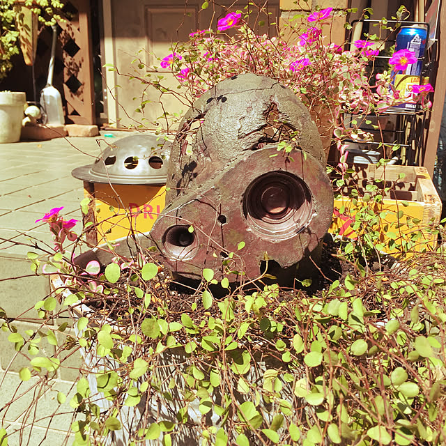 kinokoさんの実例写真