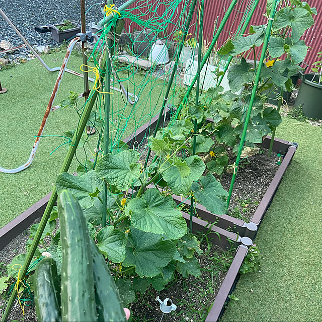 nayumi0723さんの実例写真