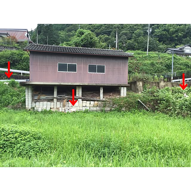 実例写真