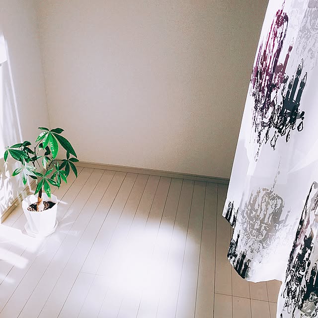 naoさんの実例写真