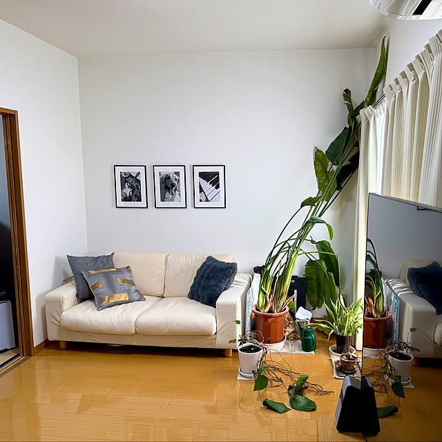 sakura-51さんの実例写真