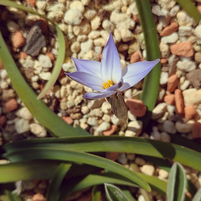 mi-saさんの部屋