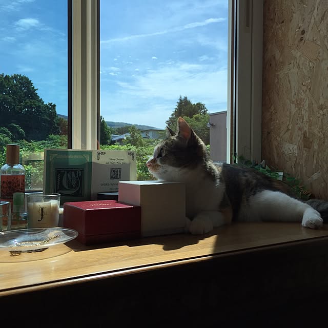 aa1924さんの実例写真