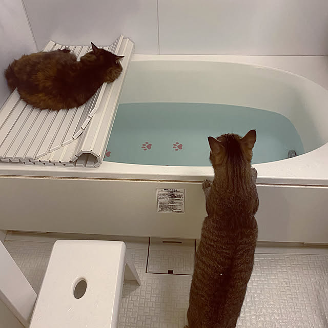 mikomaruさんの実例写真