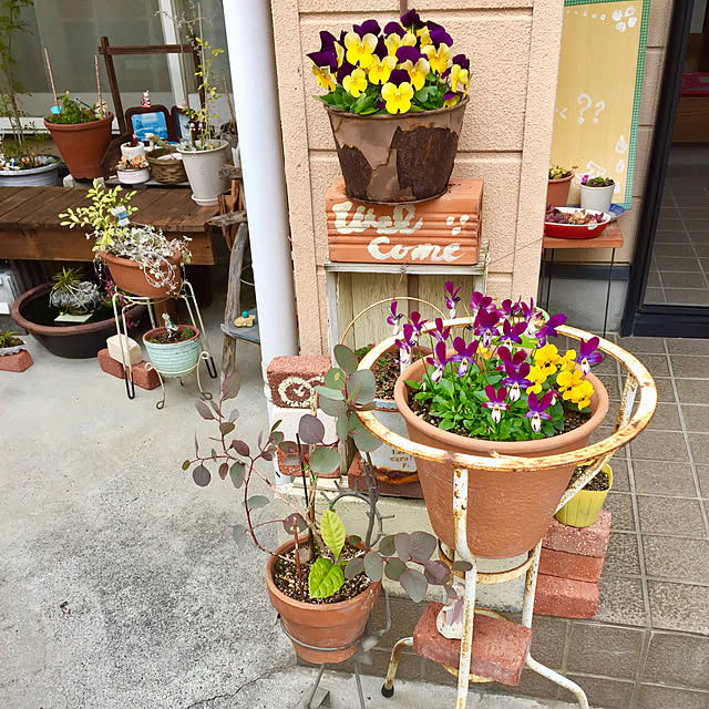 takakoさんの実例写真
