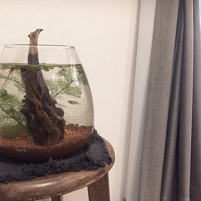 yumさんの実例写真