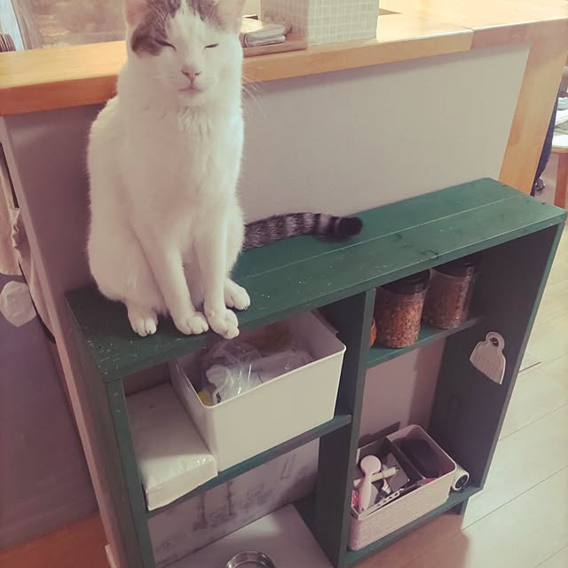 tomoenoさんの実例写真