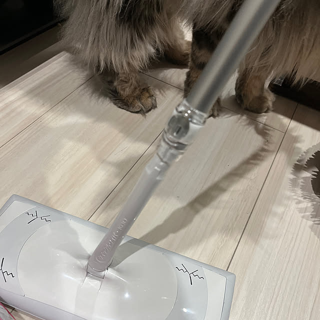 mayumiさんの部屋
