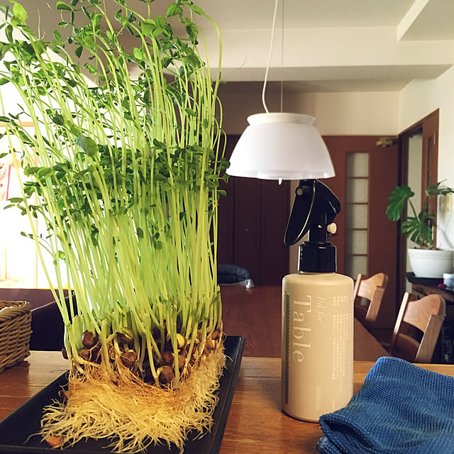 cottoncottonさんの実例写真