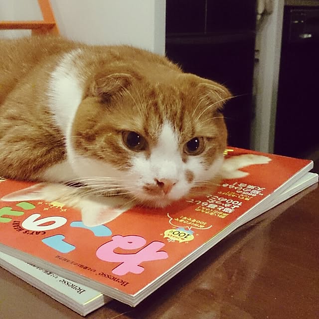 Sachiさんの実例写真