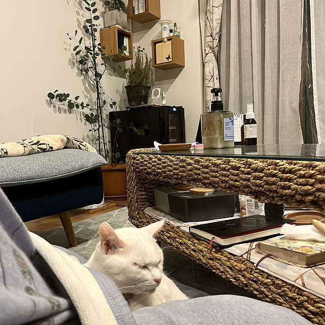 hanaさんの実例写真