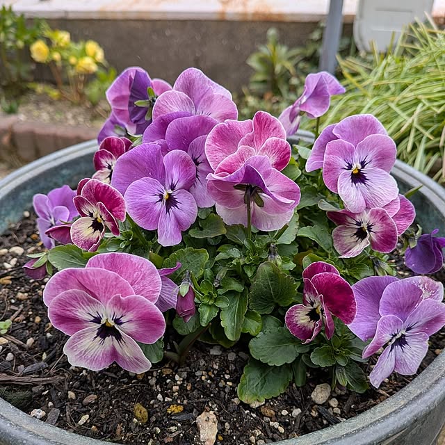 Renさんの実例写真