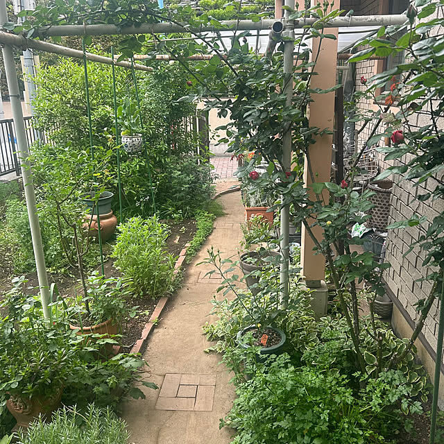 botanさんの部屋