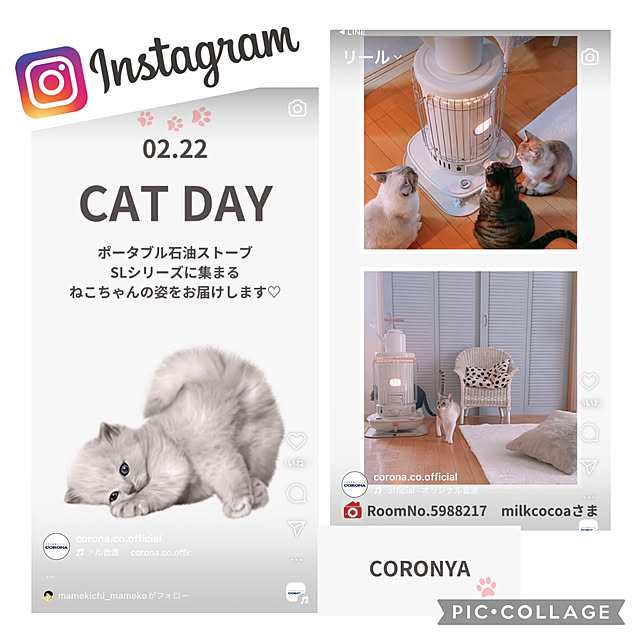 milkcocoaさんの実例写真