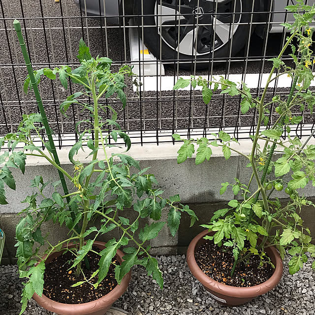 EMIKOさんの実例写真