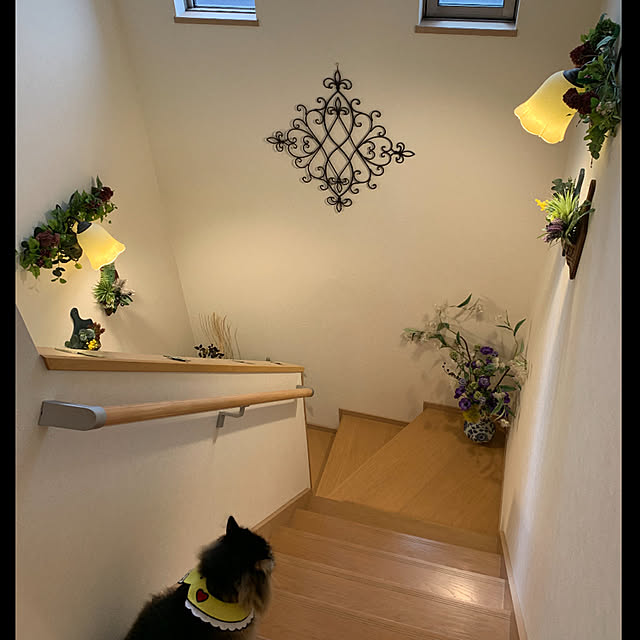 yukarin-gardenさんの実例写真