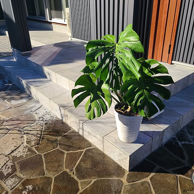 Rubiconさんの部屋