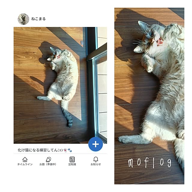 Atelier_tamakiさんの実例写真