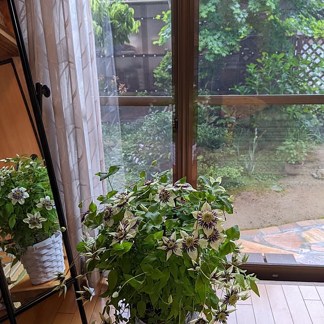 hiroさんの部屋