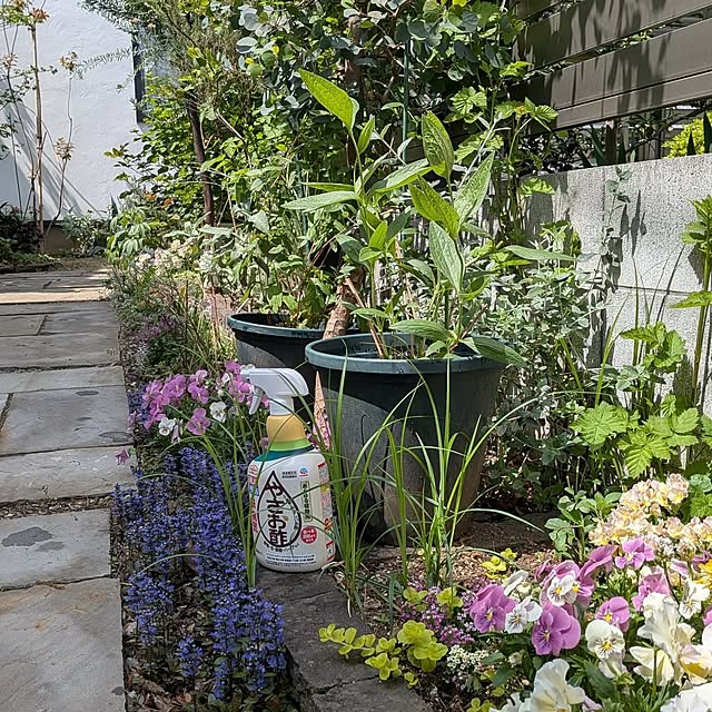 nolleyさんの部屋