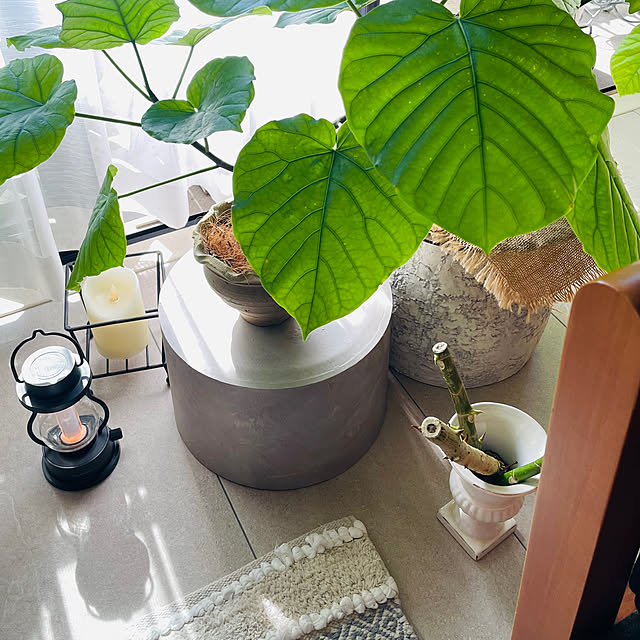 momo_sanさんの実例写真