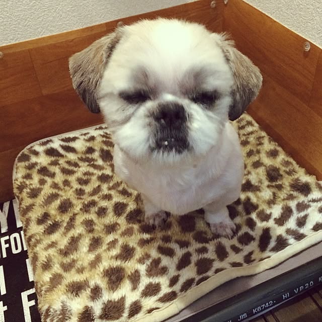 lenkaさんの実例写真