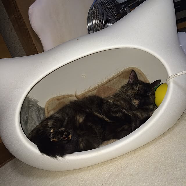 tiduruさんの実例写真