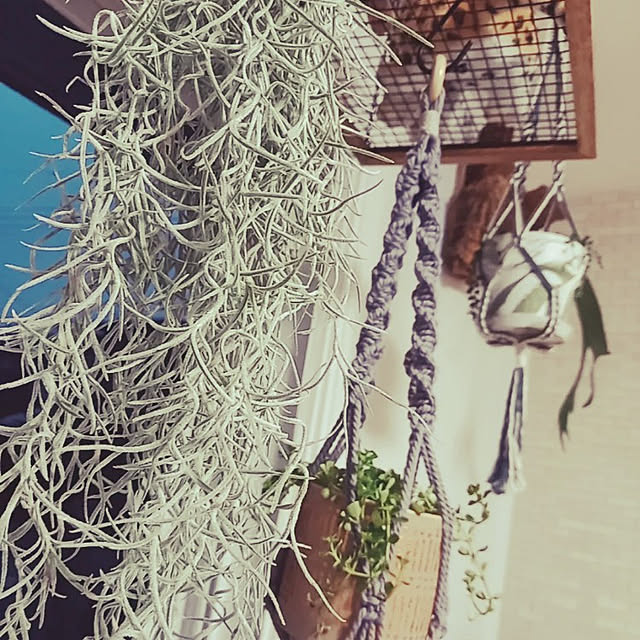 naomiさんの実例写真
