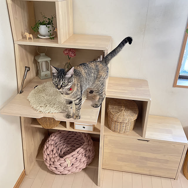chinaさんの部屋