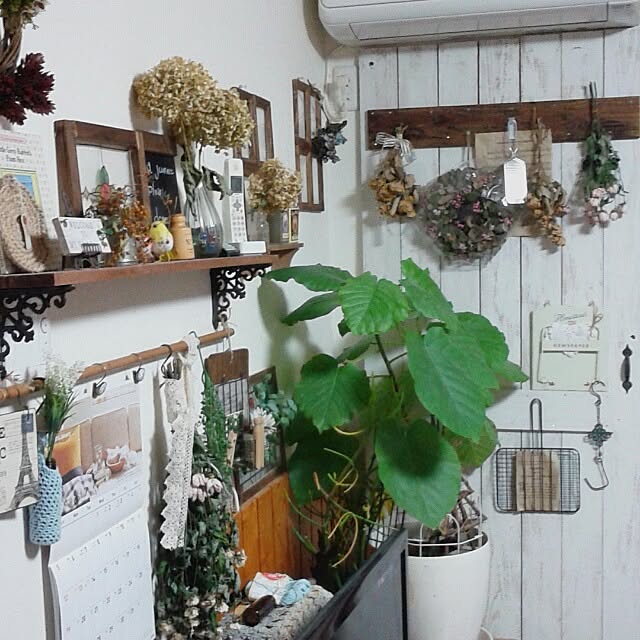 383junkさんの実例写真