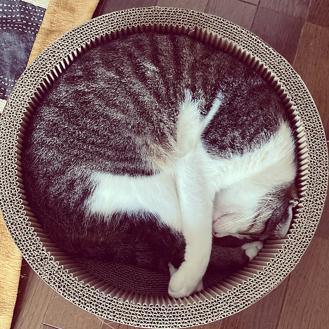 Aikoさんの実例写真