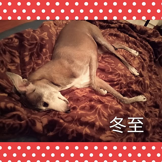 moruさんの部屋