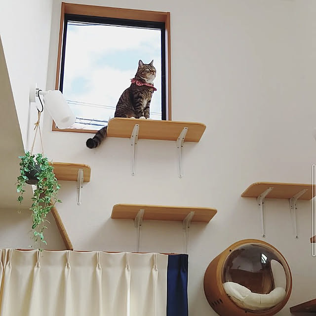 mochicoさんの実例写真